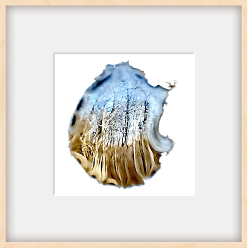 Winterwald Photography by Ingrid Blaurock | ArtMajeur