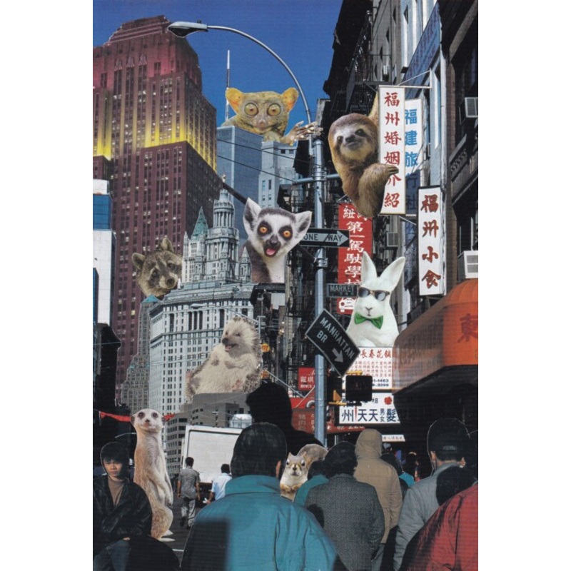 Zoo City Collages by Emilie Desault | ArtMajeur