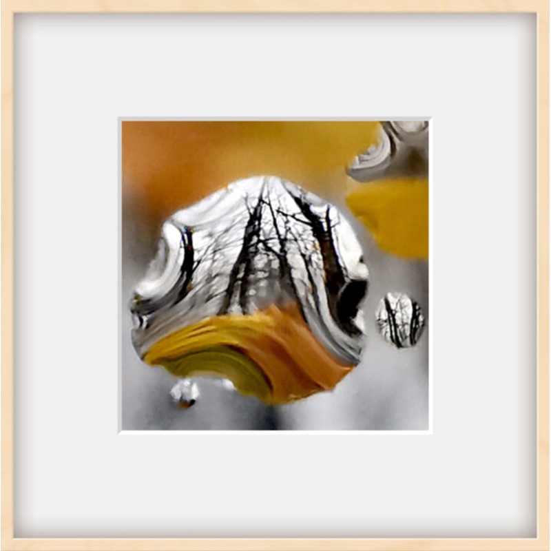 Winterbaum Photography by Ingrid Blaurock | ArtMajeur