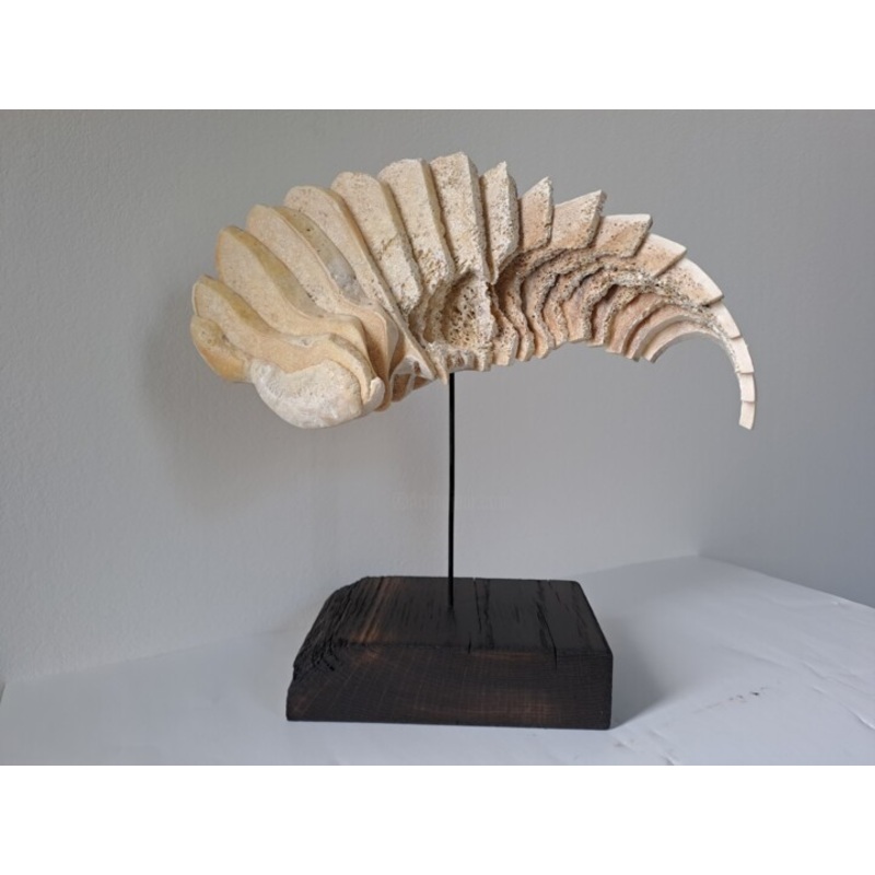 Coelacanthe Sculpture by Serendipity Liche | ArtMajeur