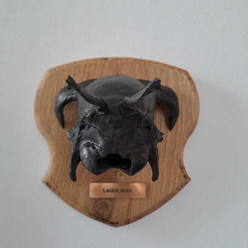 Lasius Aries Sculpture by Serendipity Liche | ArtMajeur