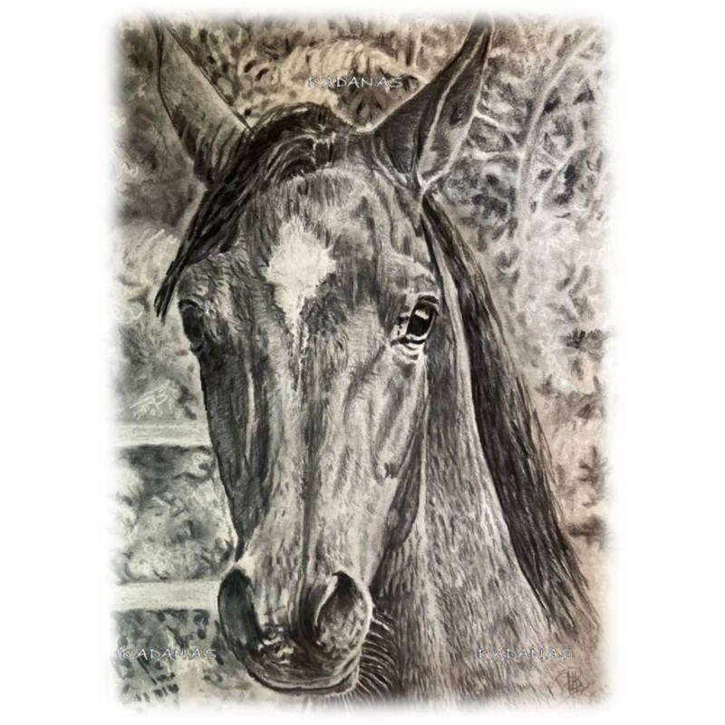 Arabian Thoroughbred In The Sarmatian Mo Drawing by Radan As | ArtMajeur