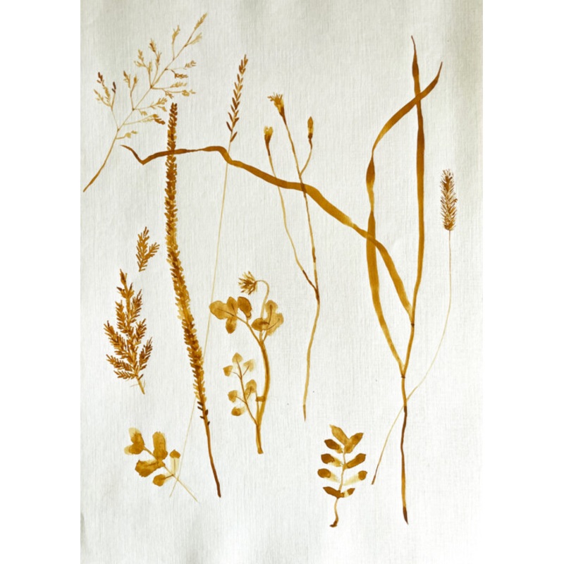 Dried Flowers Painting by Sasha Solomon | ArtMajeur