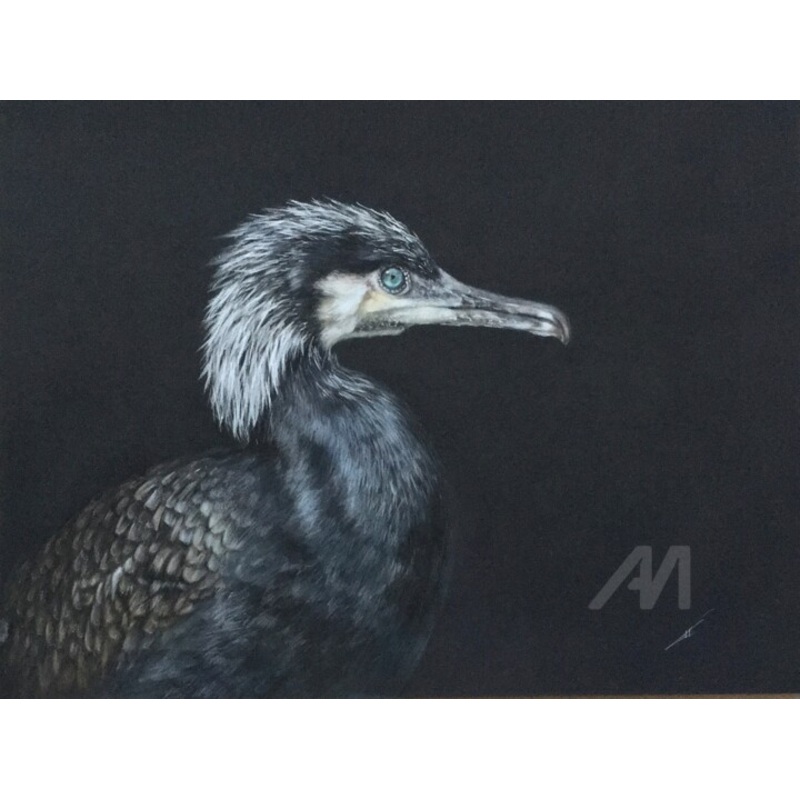 Important Bird Drawing by Irene_art | ArtMajeur