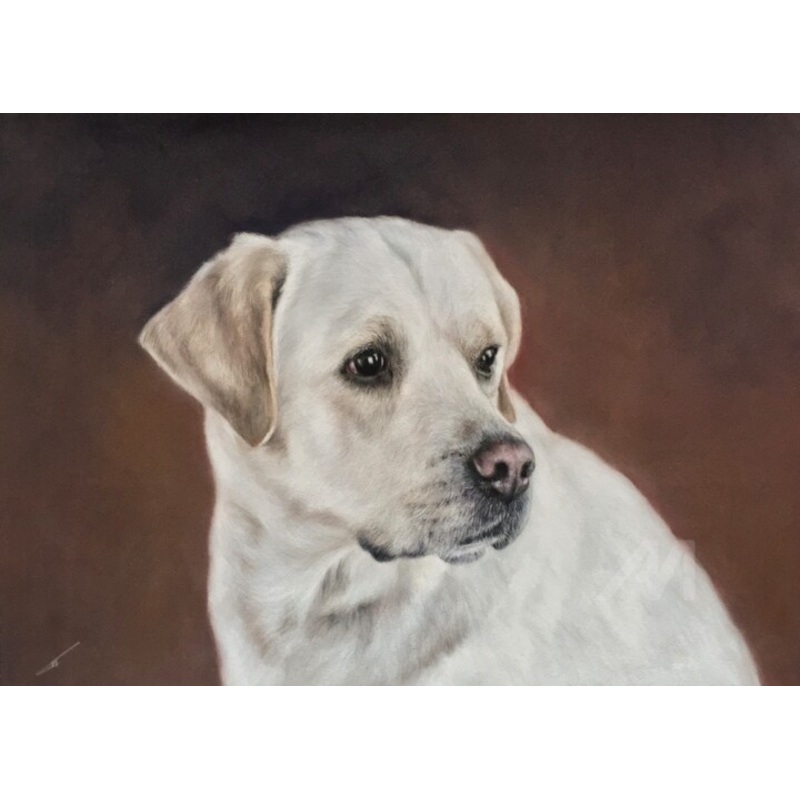 White On Red Drawing by Irene_art | ArtMajeur