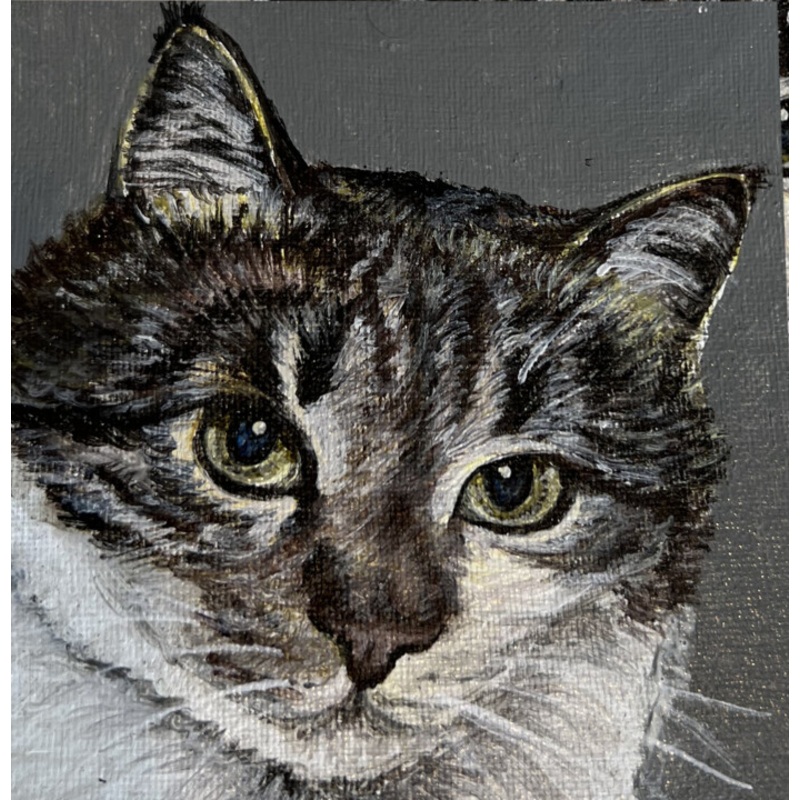 A Portrait Of A Cat. Decor Painting by Antonina Pavlic | ArtMajeur