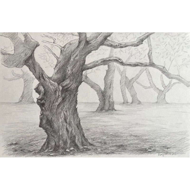 Wood Drawing by Sofiia Kulichkova (Sonjakul) | ArtMajeur