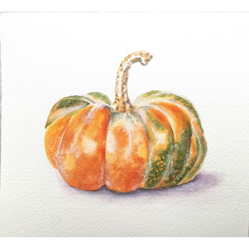 Watercolor  Pumpkin Painting by Fineartderya | ArtMajeur