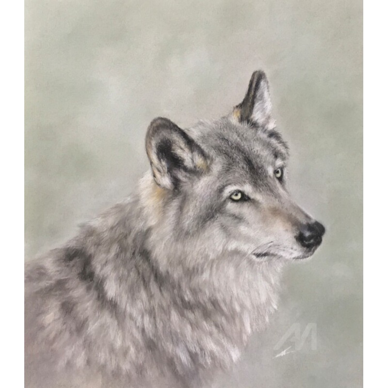 Wolf Soul Drawing by Irene_art | ArtMajeur