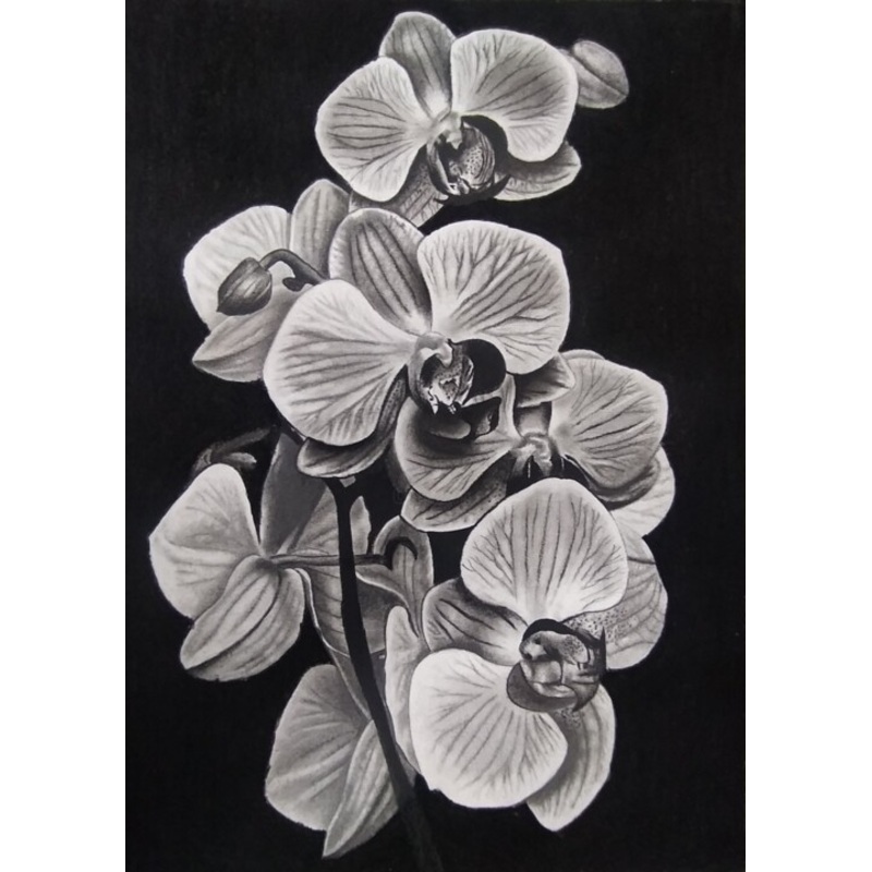 Drawing by Marlon Billero Cavadia | ArtMajeur