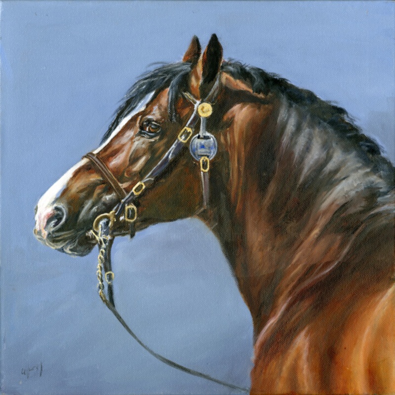 Welsh Mountain Pony Stallion ‘The Welshm Painting by Una Hurst | ArtMajeur