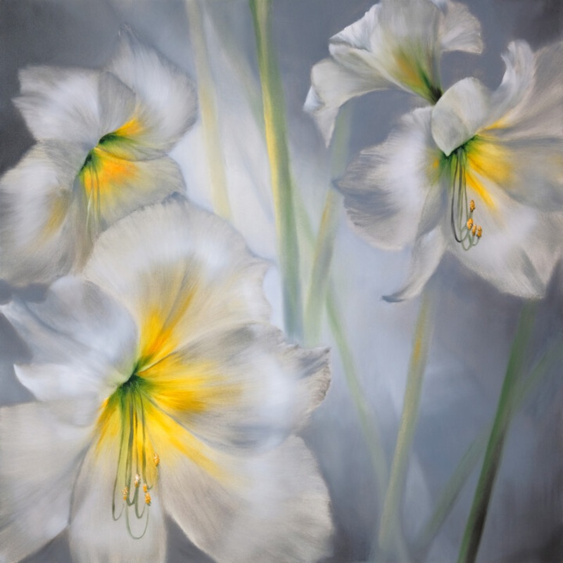 Weie Amaryllis Painting by Annette Schmucker | ArtMajeur