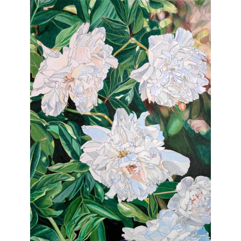 White Peonies Drawing by Sandrine Borgniet | ArtMajeur
