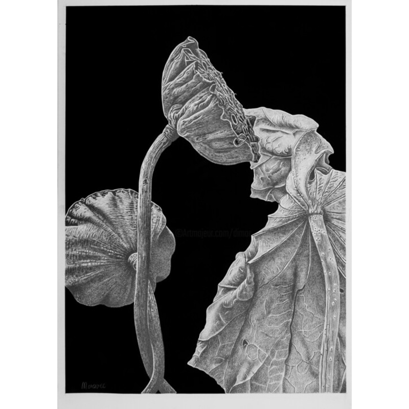 Abschied Drawing by Dietrich Moravec | ArtMajeur