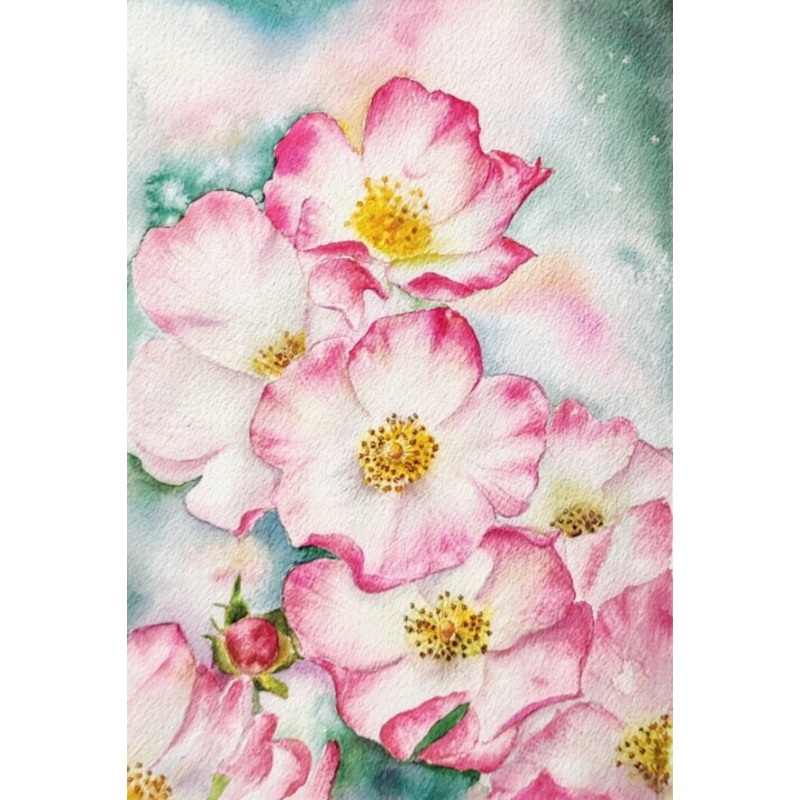 Watercolor Wild Roses Painting by Fineartderya | ArtMajeur