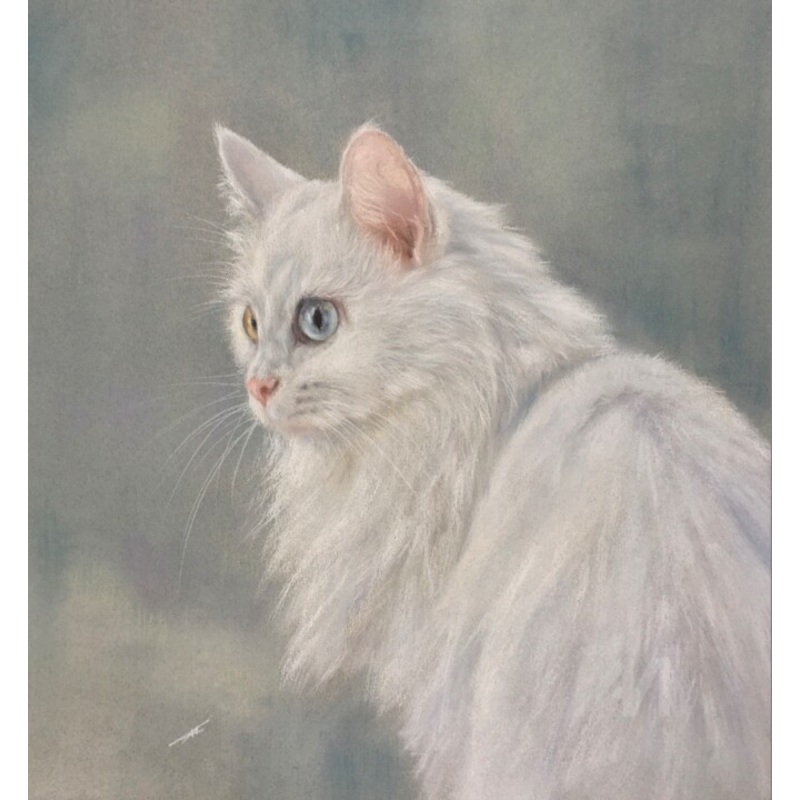 White Cat Drawing by Irene_art | ArtMajeur