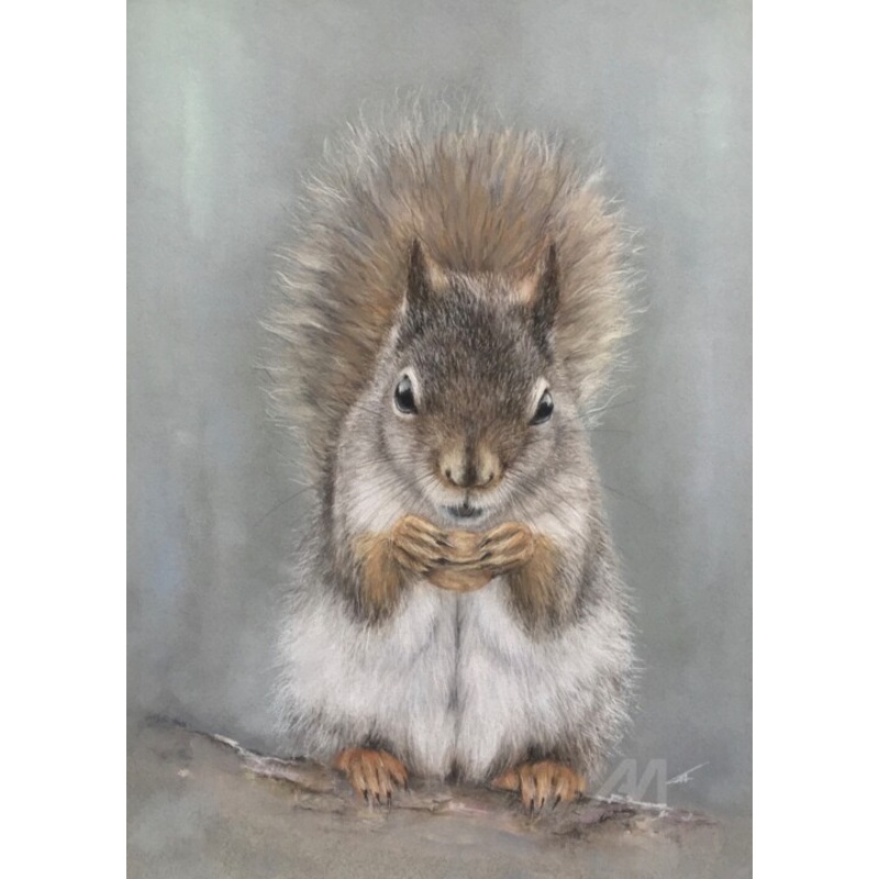Walnut Drawing by Irene_art | ArtMajeur