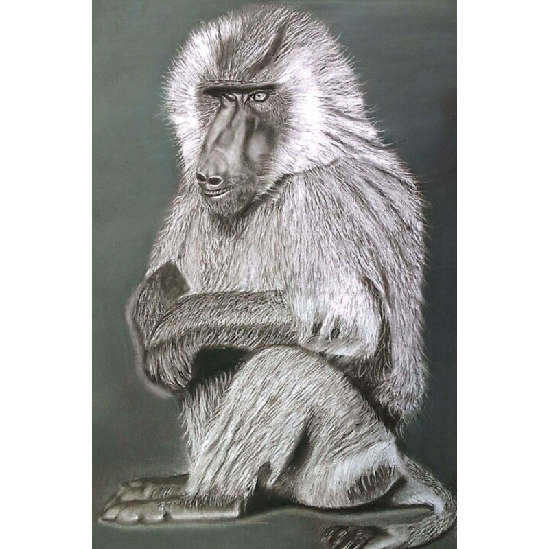 Wildlife Art Drawing by Esther Zvidzai | ArtMajeur