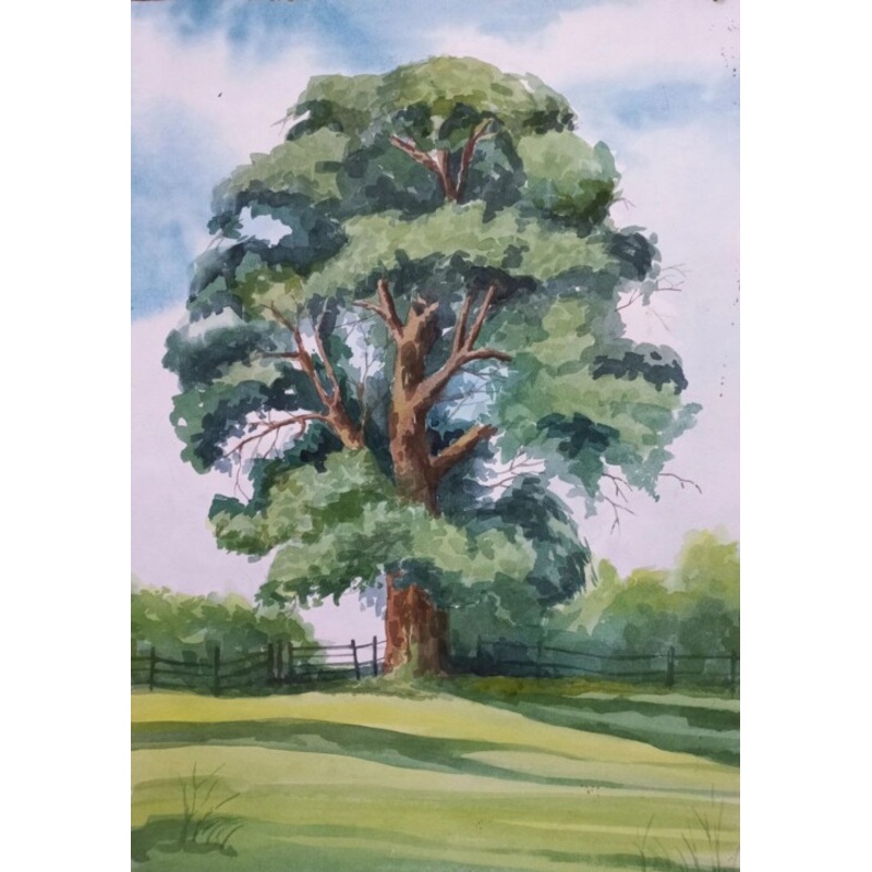 Tree In A Field. Green Summer. Painting by Katerina Kach | ArtMajeur