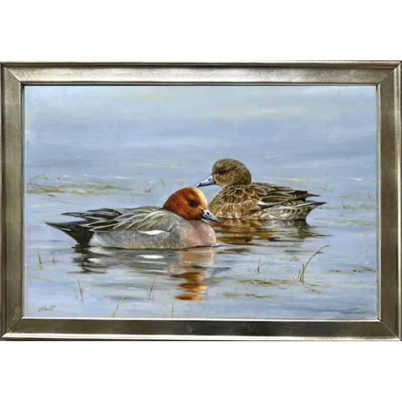 Wigeon European Wigeon Anas Penelope Painting by Una Hurst | ArtMajeur