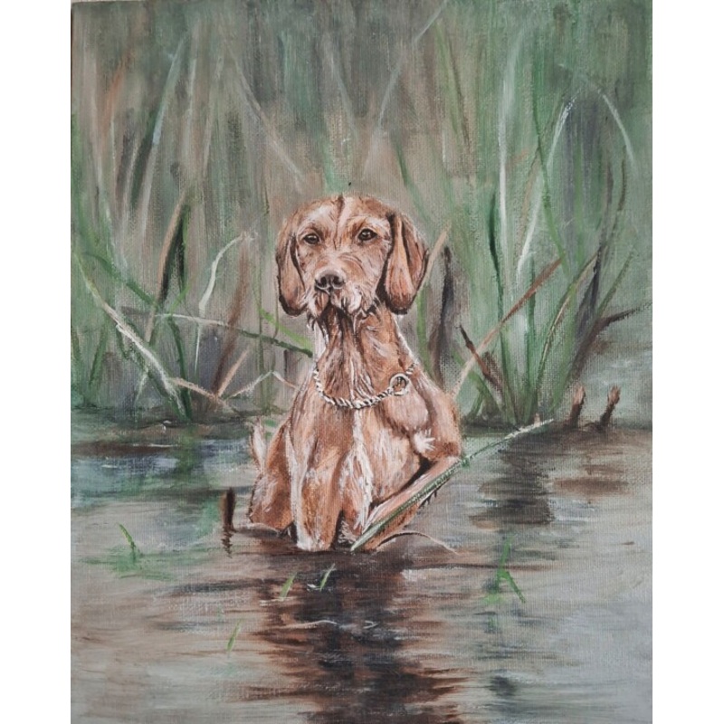 Wirehaired Hungarian Vizsla Painting by Aniart | ArtMajeur
