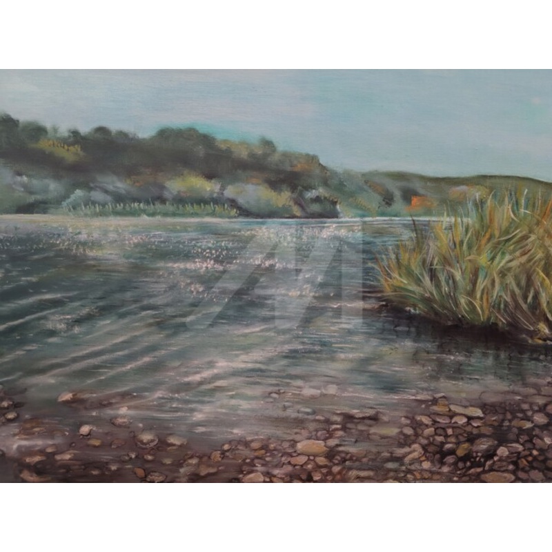 A Place To Dip Your Foot In The Water Painting by Diana Editoiu | ArtMajeur