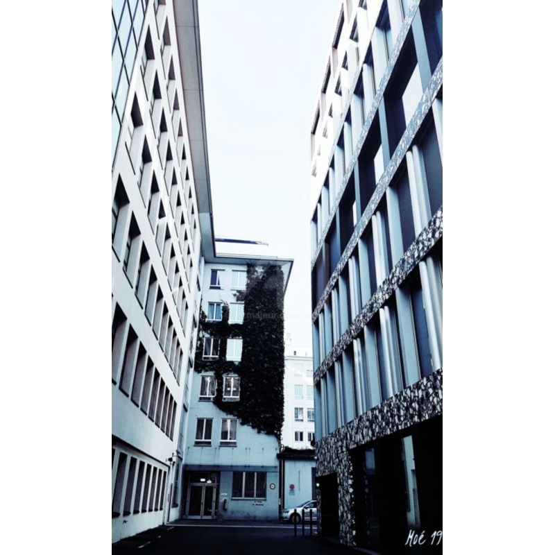 Zrich Schweiz Photography by Art Mo | ArtMajeur