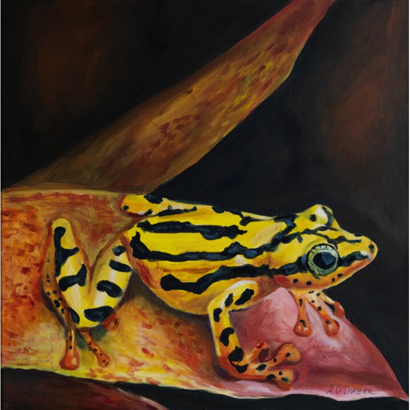 Yellow Tree Frog Animal Art Painting by Alina Odwyer | ArtMajeur