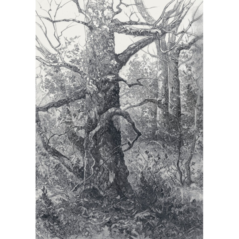 Drawing by Roman Malysev | ArtMajeur
