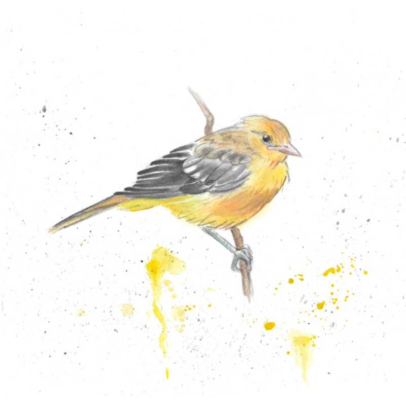 Yellow Bird Painting by Aliia Giliazova | ArtMajeur
