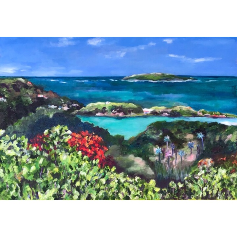 Vue Sur La Baie Du Franois Painting by Dominique Gobelin Mansour | ArtMajeur