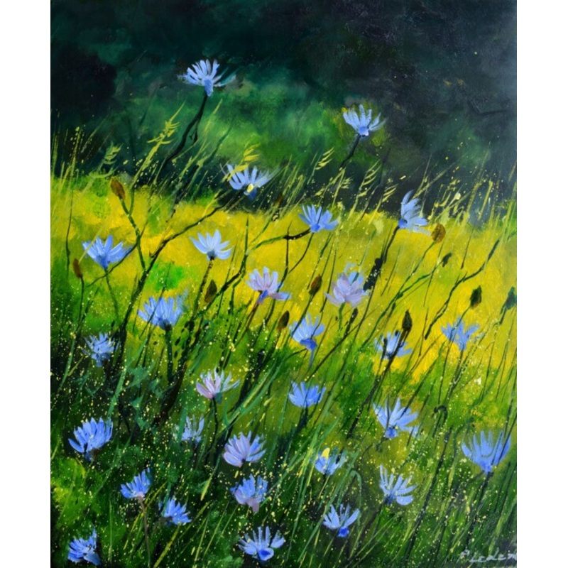 Wild Chicorees 5624 Painting by Pol Ledent | ArtMajeur