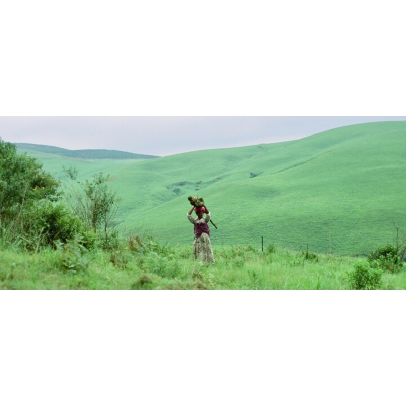Afrique Du Sud – Cte De L’ocan Indien  Photography by Christian Ebel | ArtMajeur