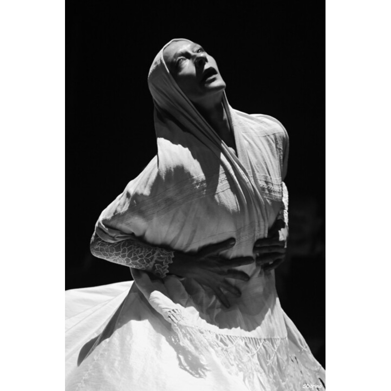 Cabaret Photography by Shirley Dorino | ArtMajeur