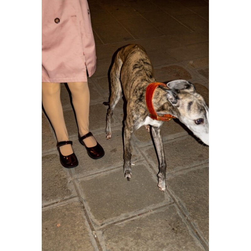 Chic Little Girl And Greyhound (Ed. 1/3) Photography by Sophie Bramly | ArtMajeur