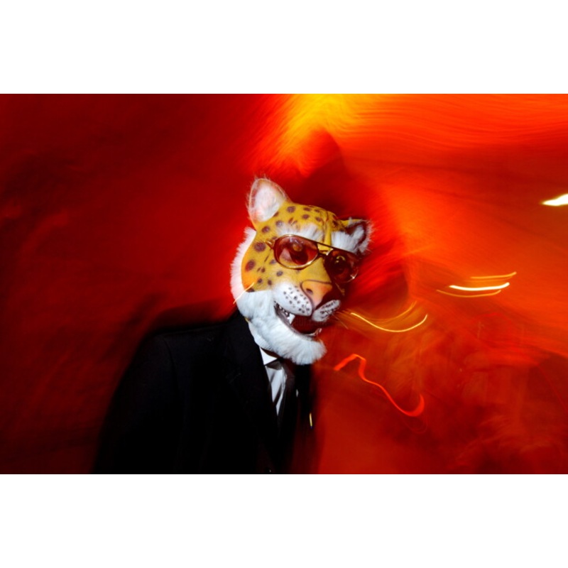 Clubbing  Tiger 2007 Photography by Gilles Petipas | ArtMajeur