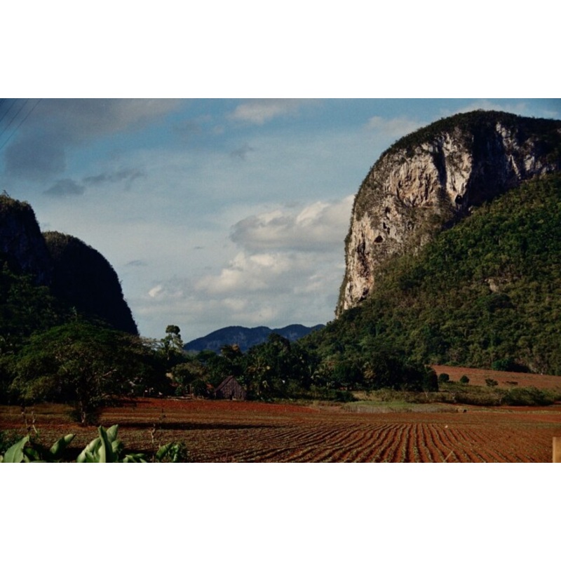 Cuba – Culture Du Tabac Rgion De Vinal Photography by Christian Ebel | ArtMajeur