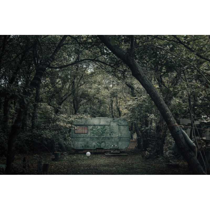 Green Mystery Photography by Milica Macanovic | ArtMajeur