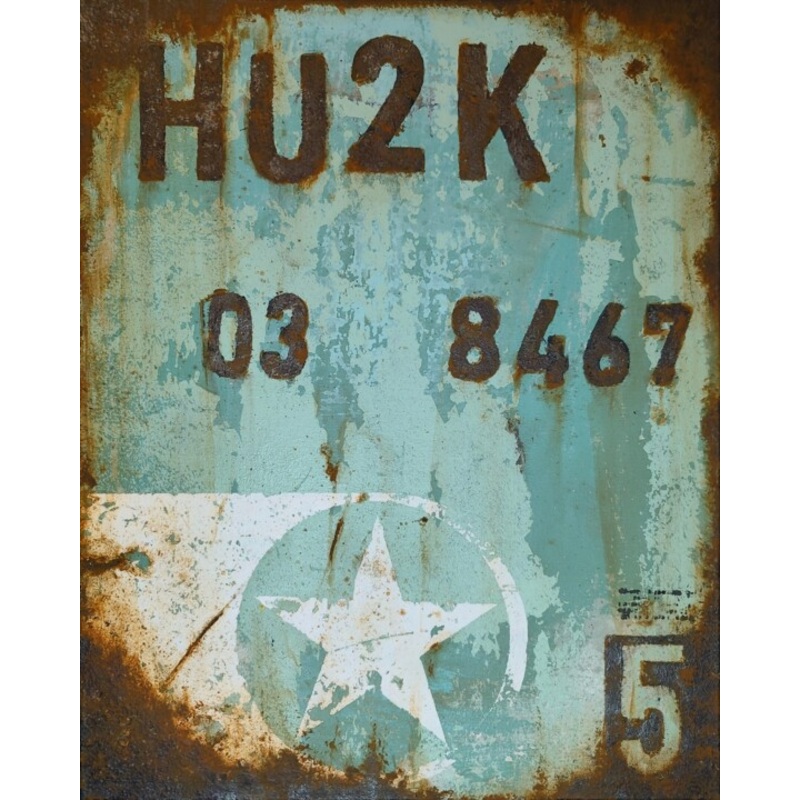 Hu2K Painting by Dmitriy Zazimko | ArtMajeur