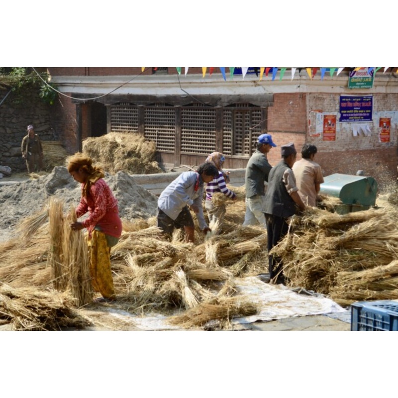 Npal – Moissons Katmandu Photography by Christian Ebel | ArtMajeur