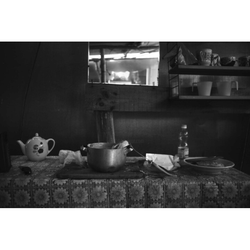 Photography by Olga Engibarova | ArtMajeur