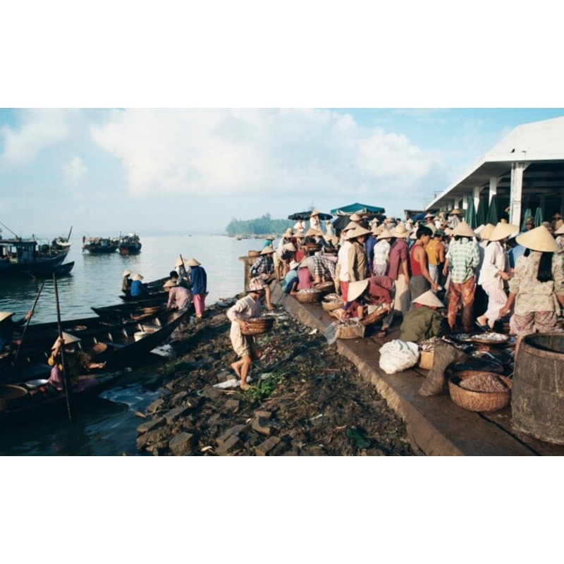 Vietnam Du Nord – March Aux Poissons Photography by Christian Ebel | ArtMajeur