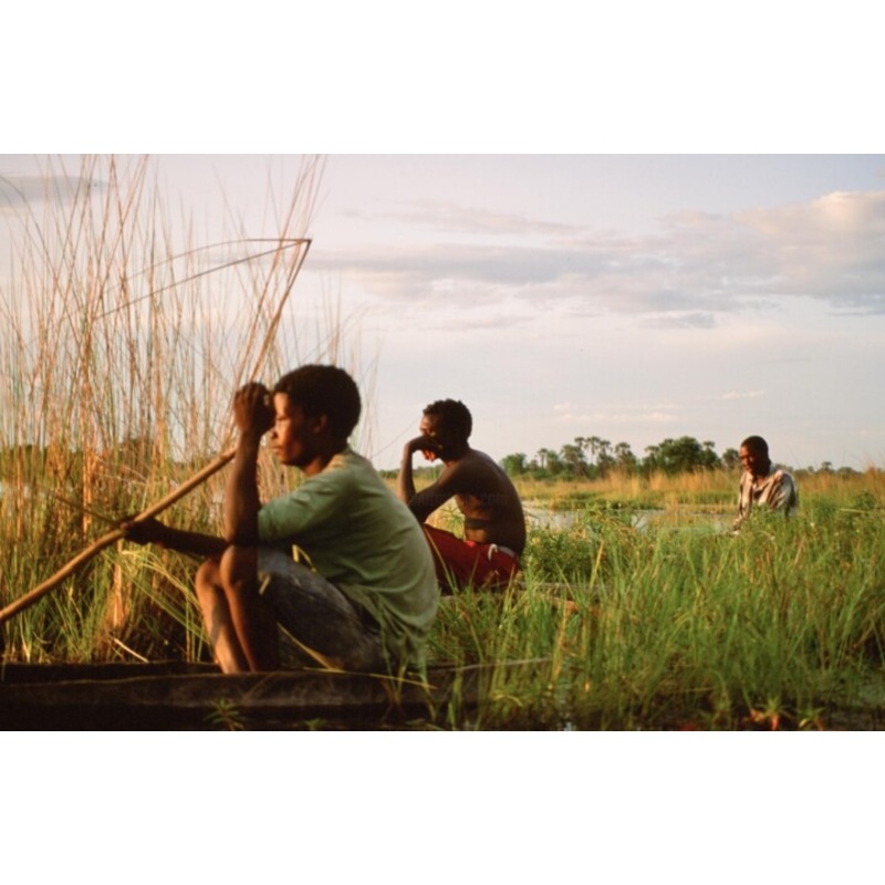Botswana – Piroguiers Au Soleil Couchant Photography by Christian Ebel | ArtMajeur