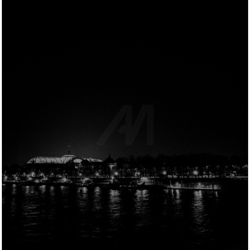 Grand Palais Photography by Antoine Leven | ArtMajeur