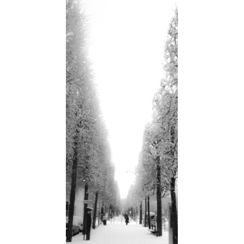 Versailles Sous La Neige 2010 Photography by Peg | ArtMajeur