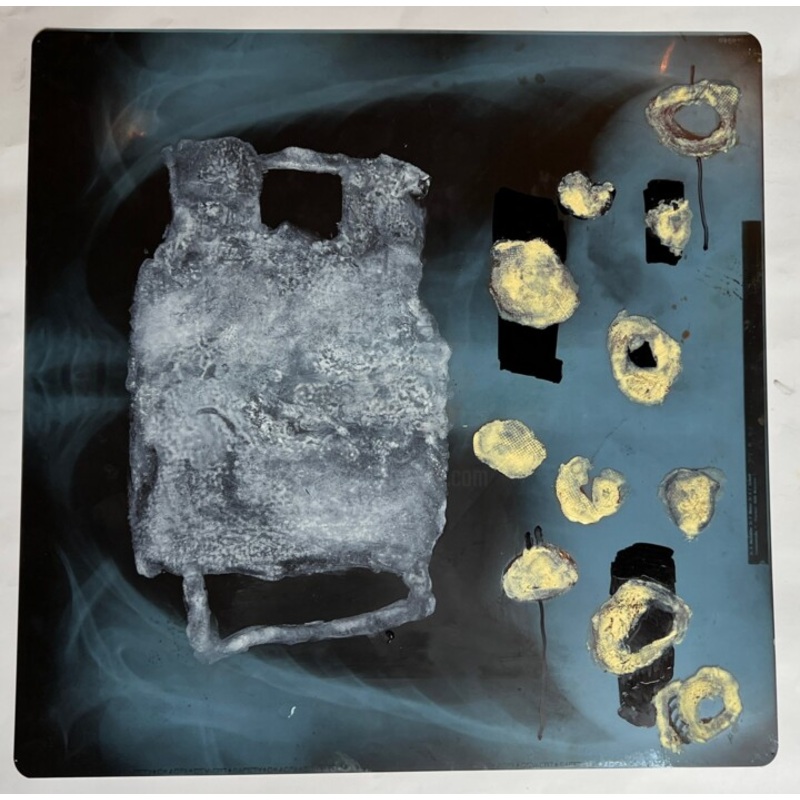 X-Ray 2 Painting by Birgit Karg | ArtMajeur