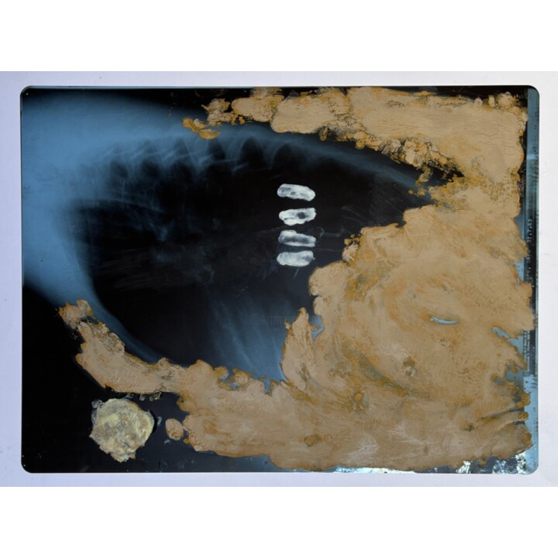 X-Ray 3 Painting by Birgit Karg | ArtMajeur