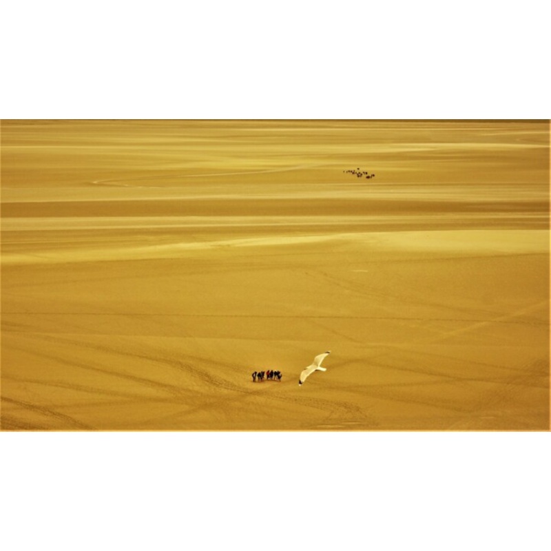 L’esprit Au Mont Saint-Michel Photography by Marie Marlne Mahalatchimy | ArtMajeur