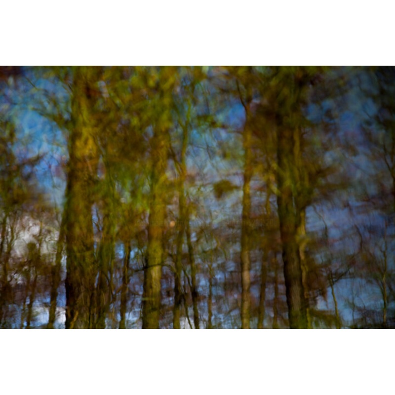 O & Autres #5114B Photography by Jean-Franois Urbain | ArtMajeur