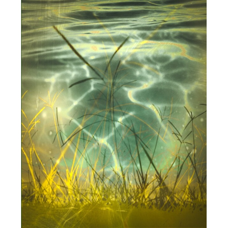 Oxygen In Water Printmaking by Banu Muazzez Arpal | ArtMajeur